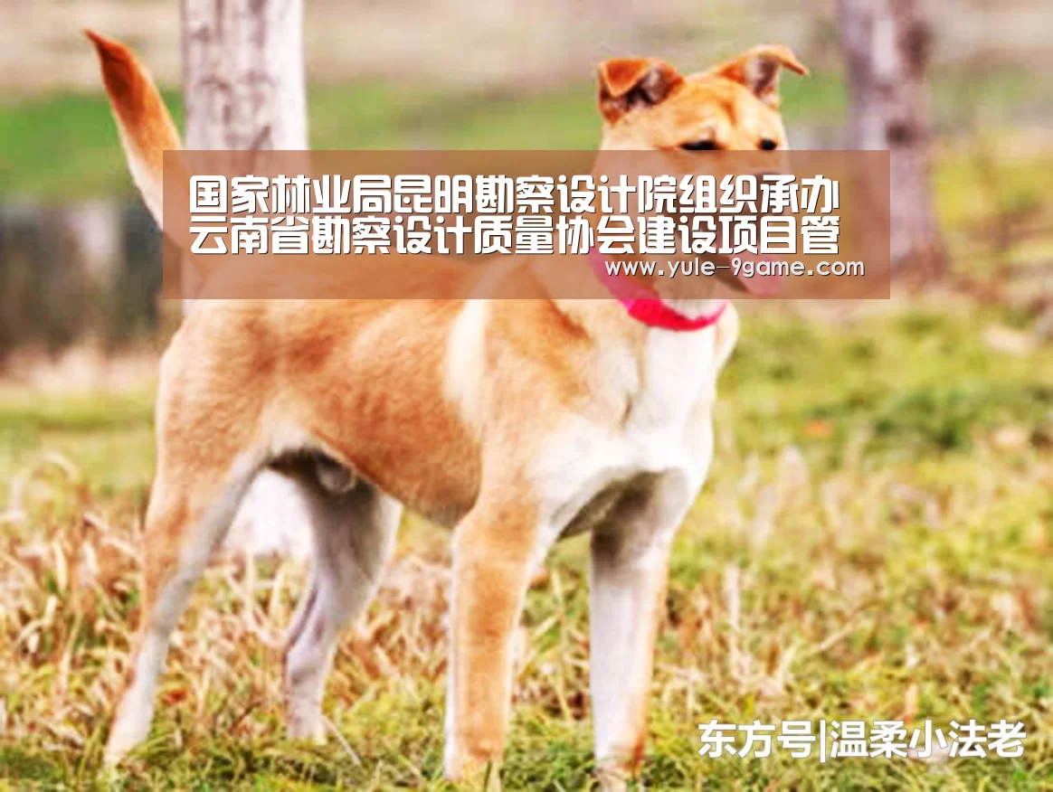 国家林业局昆明勘察设计院组织承办云南省勘察设计质量协会建设项目管理和工程总承包专业委员会第六次交流会|九游网页版官网入口(图2) 九游网页版入口
